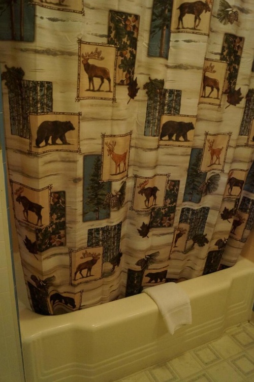 Canyon Lodge Motel image 13