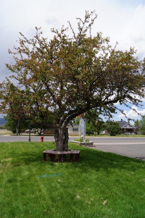 Canyon Lodge Motel image 28